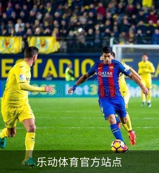 乐动体育官方站点简介